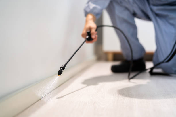 Licensed Termite Control service in Carmi, IL - Nex Pest Control