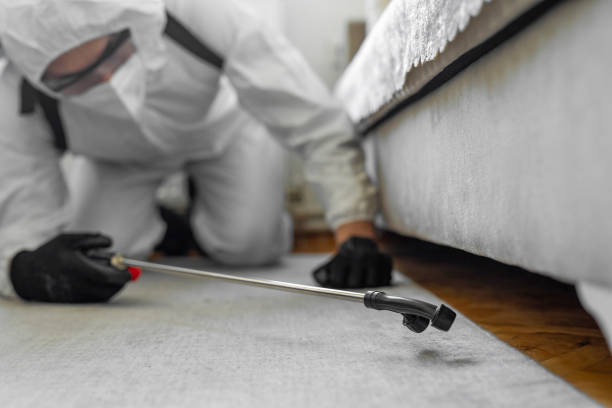Professional Termite Control technician working in Carmi, IL