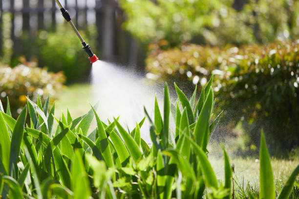 24/7 Emergency Termite Control experts in Carmi, IL