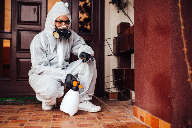 Reliable Termite Control contractor in Carmi, IL by Nex Pest Control