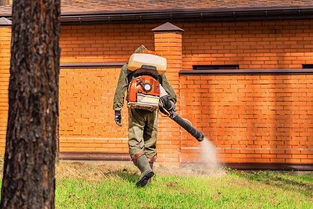 Top rated local Termite Control specialists in Carmi, IL